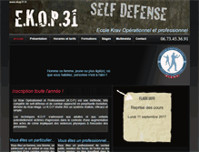 Tablet Screenshot of ekop31.fr